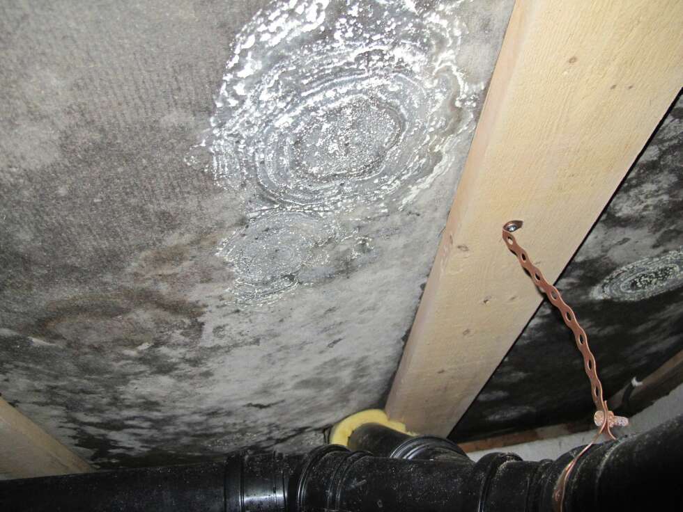 FUKT: Moderne bygningsmaterialer har ikke alltid god fuktmotstand. Dette er nye stubbeloftsplater som er blitt utsatt for fukt.
FUKT: Moderne bygningsmaterialer har ikke alltid god fuktmotstand. Dette er nye stubbeloftsplater som er blitt utsatt for fukt.