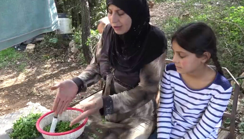 NY HVERDAG: Ti år gamle Bara'a hjelper moren sin å lage molokhiya. - Hadde dette vært i Syria ville jeg tilsatt et halvt kilo kjøtt til maten. Nå må vi klare oss med buljong, forklarer moren. NY HVERDAG: Ti år gamle Bara'a hjelper moren sin å lage molokhiya. - Hadde dette vært i Syria ville jeg tilsatt et halvt kilo kjøtt til maten. Nå må vi klare oss med buljong, forklarer moren.
