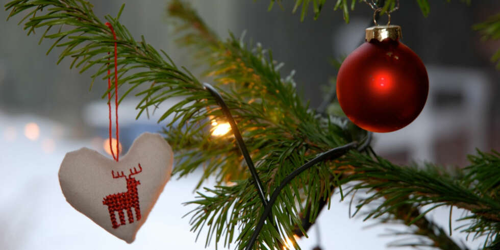 JULETRETIPS: Slik holder du nålene på treet lengst mulig. JULETRETIPS: Slik holder du nålene på treet lengst mulig.