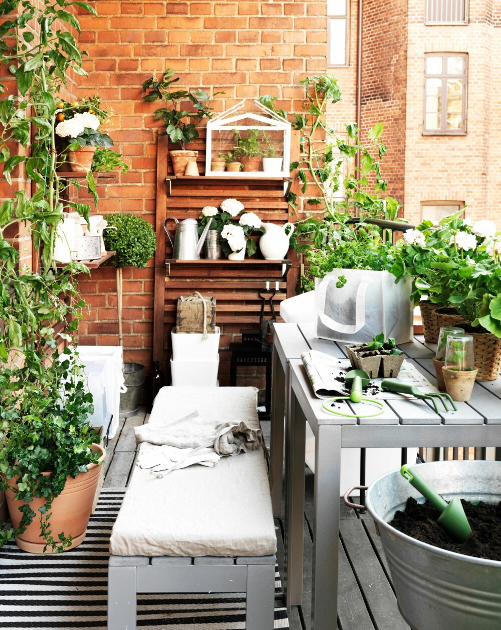 GRØNT ER SKJØNT: Nå skal på terrasser og balkonger bugne av grønt. FOTO: Ikea GRØNT ER SKJØNT: Nå skal på terrasser og balkonger bugne av grønt. FOTO: Ikea