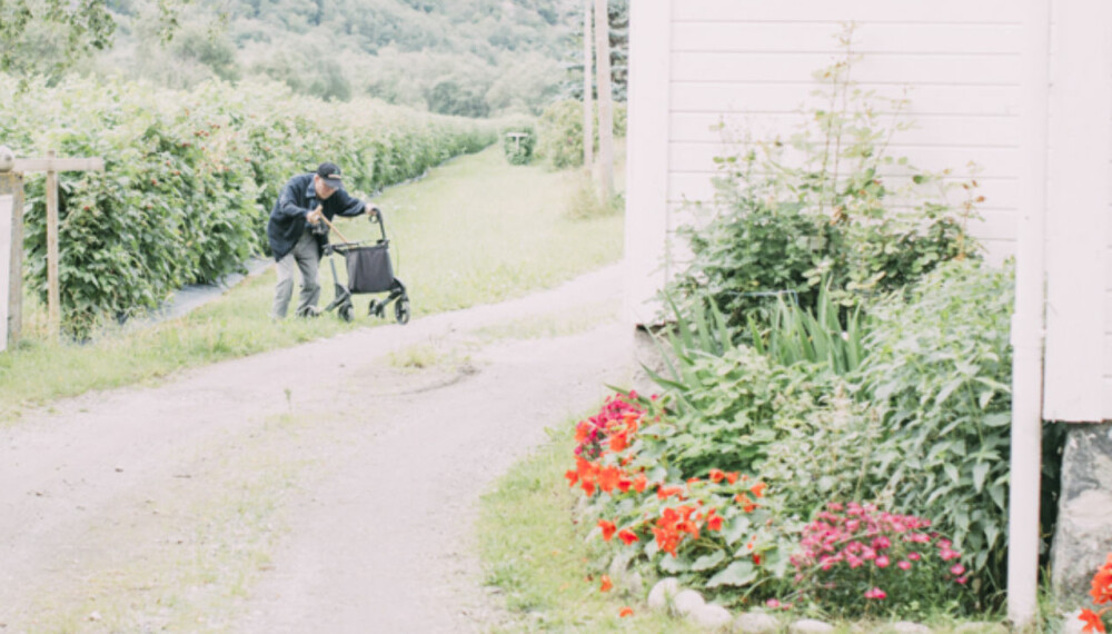 SAKNET: - Me rakk nokre månader med sameksistens på garden, kaffikoppar med doble sukkerbitar og rullatorspasering til pumpehuset. SAKNET: - Me rakk nokre månader med sameksistens på garden, kaffikoppar med doble sukkerbitar og rullatorspasering til pumpehuset.