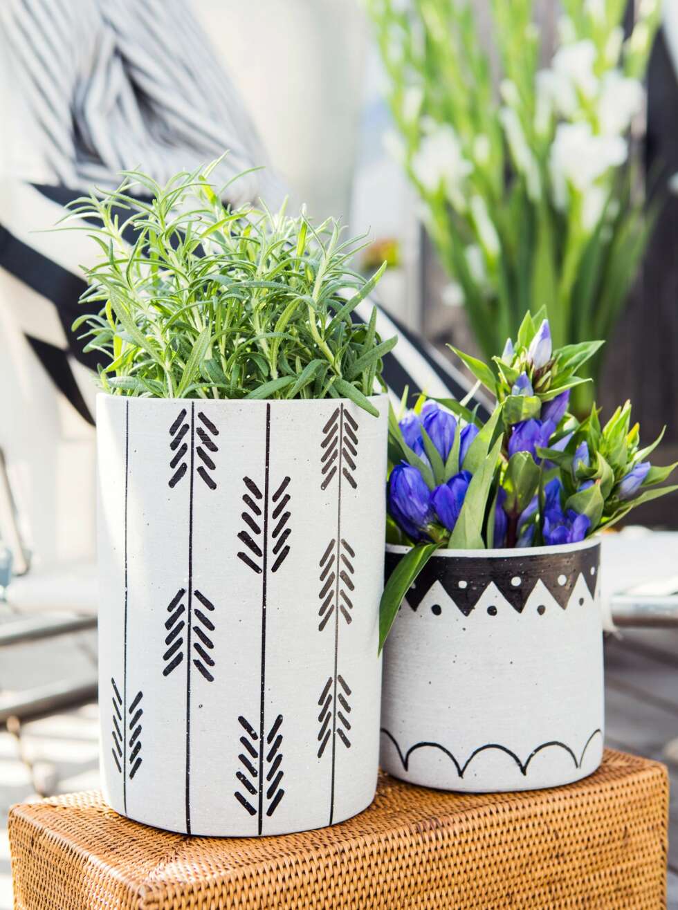 DIY: Kjøp enkle blomsterpotter, disse er fra Kremmerhuset, og dekorer dem med ditt eget mønster. Vi brukte Sharpie Paint pens, penner med oljebasert malingsfarge, som er lette å tegne fine detaljer med. Fås blant annet på amazon.com. FOTO: Nadia Norskott DIY: Kjøp enkle blomsterpotter, disse er fra Kremmerhuset, og dekorer dem med ditt eget mønster. Vi brukte Sharpie Paint pens, penner med oljebasert malingsfarge, som er lette å tegne fine detaljer med. Fås blant annet på amazon.com. FOTO: Nadia Norskott