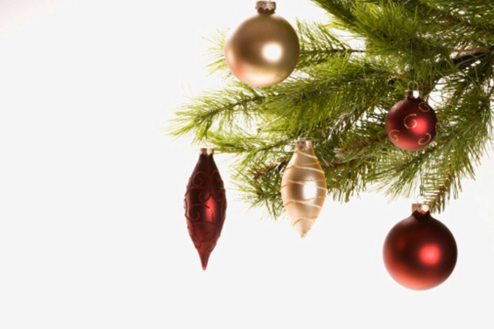 DU GRØNNE GLITRENDE TRE GOD DAG: I dette pyntede juletreet gjemmer det seg rundt 15 000 små kryp. DU GRØNNE GLITRENDE TRE GOD DAG: I dette pyntede juletreet gjemmer det seg rundt 15 000 små kryp.