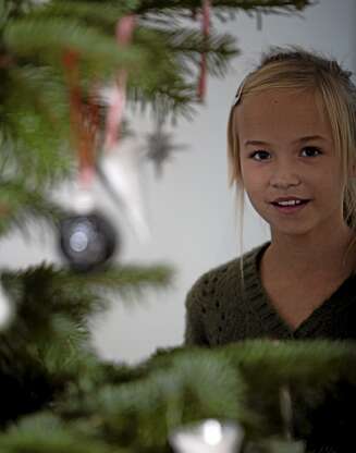 UT AV DVALEN: Ta en titt på tusenvis av småkryp i juletreet, oppfordrer insektsforsker. UT AV DVALEN: Ta en titt på tusenvis av småkryp i juletreet, oppfordrer insektsforsker.