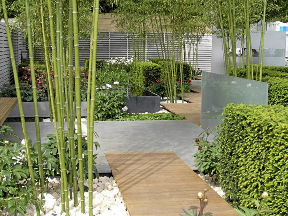 TRENDY: Bambus er forventet å selge enda mer i år enn i fjor, i følge Plantasjen. FOTO: Opplysningskontoret for blomster og planter TRENDY: Bambus er forventet å selge enda mer i år enn i fjor, i følge Plantasjen. FOTO: Opplysningskontoret for blomster og planter