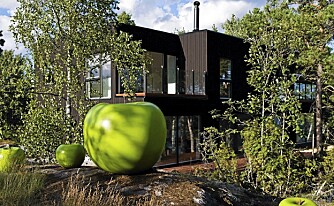 Ferdighuset "Medium Townhouse" er renlinjet arkitektur. Ferdighuset "Medium Townhouse" er renlinjet arkitektur.