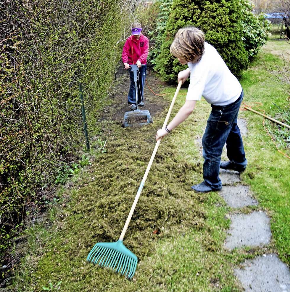 VÅRPLENEN: Når plenen har tørket opp etter vinteren, kan det være fornuftig å starte opp med å fjerne dødt materiale. VÅRPLENEN: Når plenen har tørket opp etter vinteren, kan det være fornuftig å starte opp med å fjerne dødt materiale.