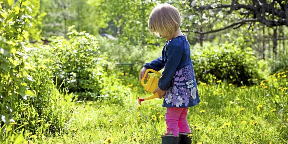 VÅRPLENEN: Tiden er inne for å gi plenen det best mulige vekstgrunnlaget for en grønn og frodig sommer. VÅRPLENEN: Tiden er inne for å gi plenen det best mulige vekstgrunnlaget for en grønn og frodig sommer.