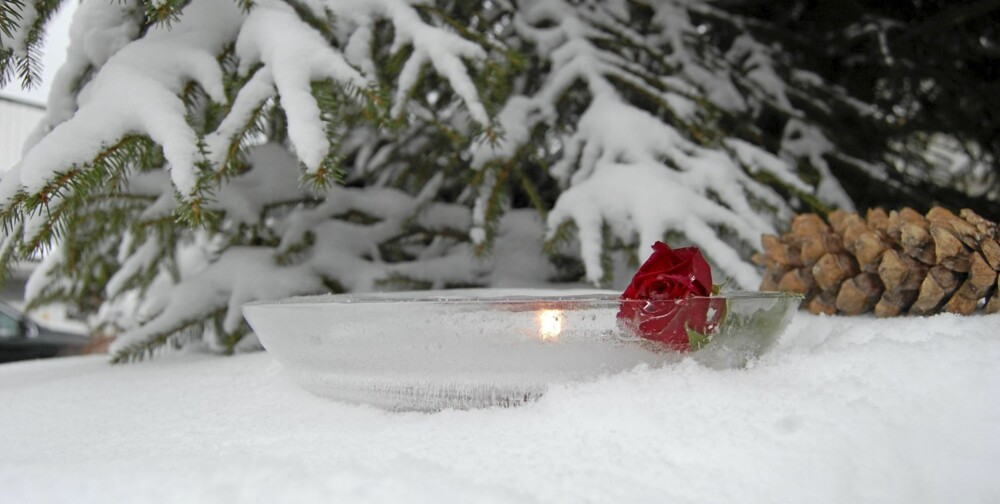 ROSEIDYLL. Sett islykten ut i hagen, den er flott i snøen og skaper stemning. ROSEIDYLL. Sett islykten ut i hagen, den er flott i snøen og skaper stemning.