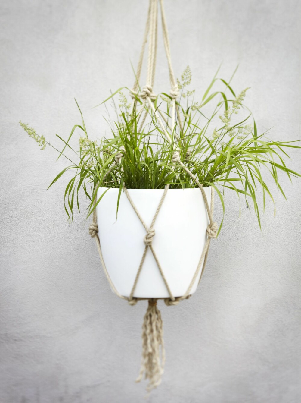 PRYDGRESS: Den hvite krukkens oppheng er laget av noen meter basttau. Idé: Steen/Aiesh og Juni Hjartholm, styling: Juni Hjartholm. PRYDGRESS: Den hvite krukkens oppheng er laget av noen meter basttau. Idé: Steen/Aiesh og Juni Hjartholm, styling: Juni Hjartholm.