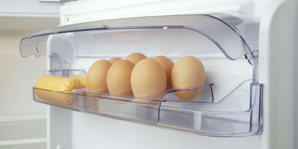 EGG: I kjøleskapet oppbevares eggene best langt oppe i kjøleskapet. Husk at egg har mye lengre holdbarhet enn det som står på pakken. EGG: I kjøleskapet oppbevares eggene best langt oppe i kjøleskapet. Husk at egg har mye lengre holdbarhet enn det som står på pakken.