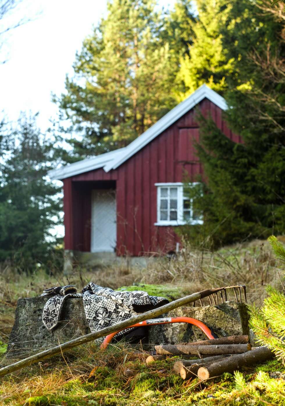 PUSTEROM: Den lille husmannsplassen ligger i skogkanten
og byr på naturnære opplevelser og et pusterom i en travel hverdag. PUSTEROM: Den lille husmannsplassen ligger i skogkanten
og byr på naturnære opplevelser og et pusterom i en travel hverdag.