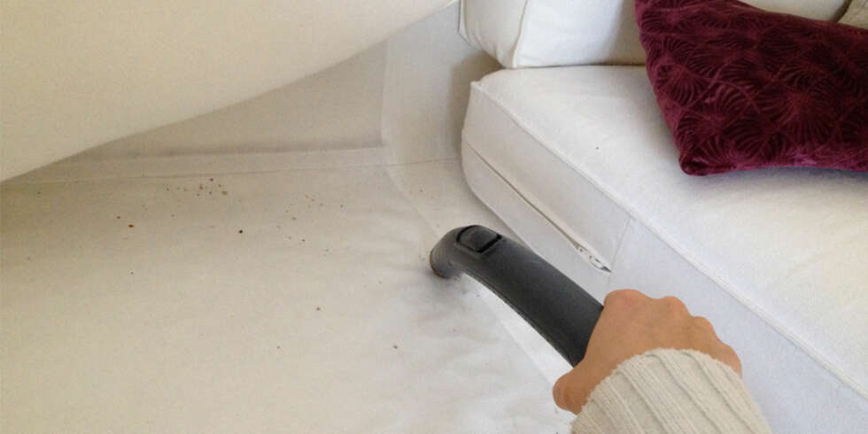 IKKE GLEM DENNE: Sofaen er et ypperlig gjemmested for mye støv og matrester. IKKE GLEM DENNE: Sofaen er et ypperlig gjemmested for mye støv og matrester.