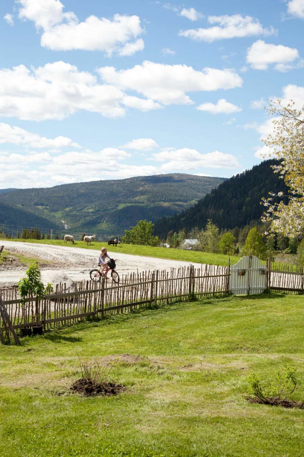 SOLFYLT: Utsikten over grenda er upåklagelig. Her har de sol fra morgen til kveld. SOLFYLT: Utsikten over grenda er upåklagelig. Her har de sol fra morgen til kveld.