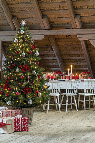 BEGYNNER TIDLIG: Mange tar juletreet inn tidlig i desember og kaster det ut allerede i romjulen. BEGYNNER TIDLIG: Mange tar juletreet inn tidlig i desember og kaster det ut allerede i romjulen.