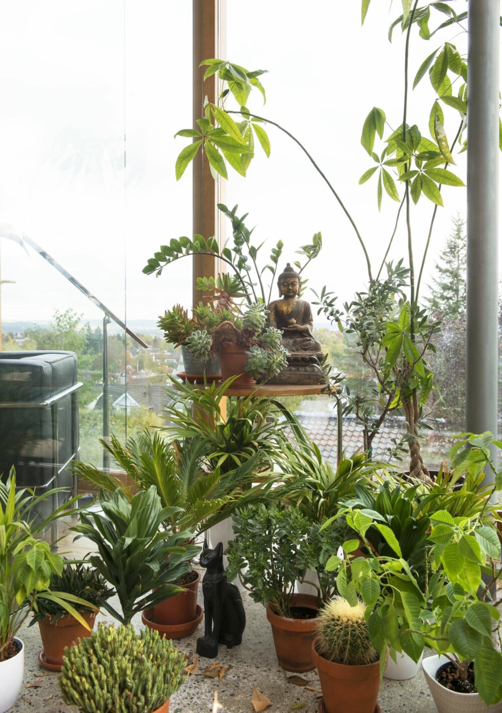 DRIVHUS: I husets sørvestre hjørne er det spandert et par kvadratmeter
til en samling varmekjære vekster. Styling: Juni Hjartholm. DRIVHUS: I husets sørvestre hjørne er det spandert et par kvadratmeter
til en samling varmekjære vekster. Styling: Juni Hjartholm.