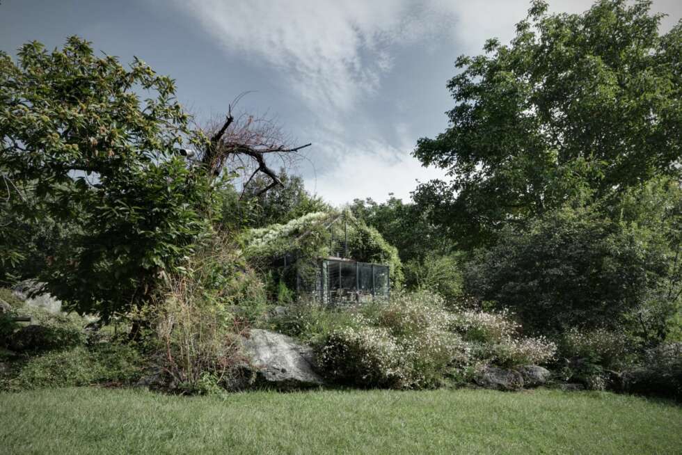 I ETT MED NATUREN: Den frodige vegetasjonen gjør at det ikke er lett å få øye på lysthuset i skogkanten. I ETT MED NATUREN: Den frodige vegetasjonen gjør at det ikke er lett å få øye på lysthuset i skogkanten.