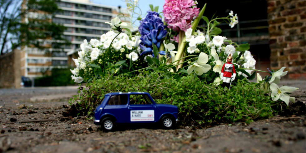 I MINI-FORMAT: Steve Wheen er mannen bak bloggen Thepotholegardener.com. I MINI-FORMAT: Steve Wheen er mannen bak bloggen Thepotholegardener.com.
