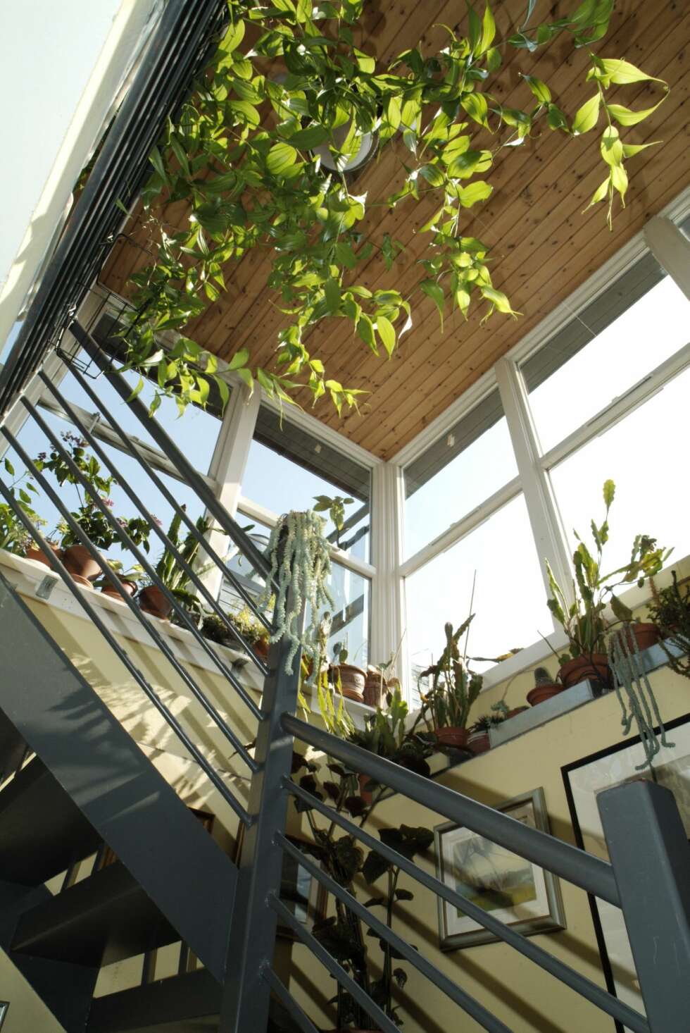 HEISEN SOM BLE HAGE: Det gamle heishuset med den nye ståltrappen er omgjort til en bugnende vinterhage. HEISEN SOM BLE HAGE: Det gamle heishuset med den nye ståltrappen er omgjort til en bugnende vinterhage.