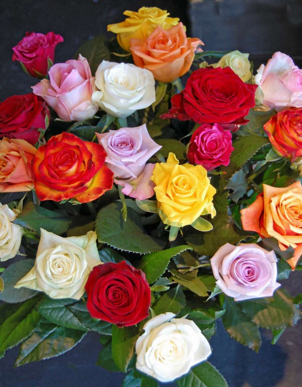 NØDHJELP FOR ROSER. Står stilkene for tett, kan det hindre oppsuging av næring. Snitt dem på nytt mens stilkene ligger under vann og sett rosene i en videre vase. NØDHJELP FOR ROSER. Står stilkene for tett, kan det hindre oppsuging av næring. Snitt dem på nytt mens stilkene ligger under vann og sett rosene i en videre vase.