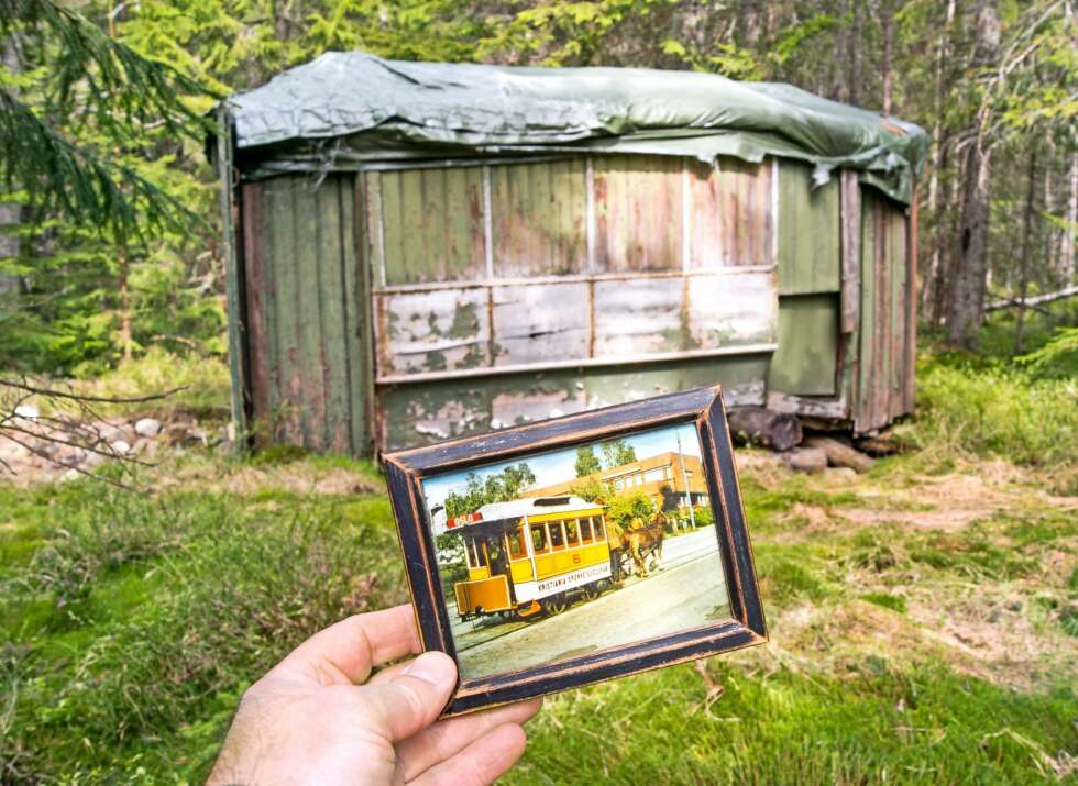 HYTTETRIKKEN: Den gamle bytrikken står i skogholtet rett ved hytta. Den er i en elendig forfatning, og er for lengst ferdig med å gjøre nytte for seg. Etter å ha vært trukket av hester rundt i bygatene, ble den fraktet til skogs og leid ut som feriebolig til folk fra hovedstaden. De som eier hytta i dag husker at de var på besøk og fikk sitte på trikkesetene og spise vafler stekt på en vedkomfyr. HYTTETRIKKEN: Den gamle bytrikken står i skogholtet rett ved hytta. Den er i en elendig forfatning, og er for lengst ferdig med å gjøre nytte for seg. Etter å ha vært trukket av hester rundt i bygatene, ble den fraktet til skogs og leid ut som feriebolig til folk fra hovedstaden. De som eier hytta i dag husker at de var på besøk og fikk sitte på trikkesetene og spise vafler stekt på en vedkomfyr.
