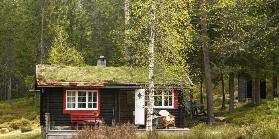 PÅ PLASS: Hytta står på en
gammel, nedlagt finneplass som det så vidt går an å se spor av.
PÅ PLASS: Hytta står på en
gammel, nedlagt finneplass som det så vidt går an å se spor av.