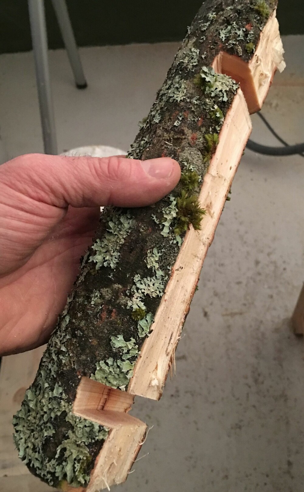 6. Sett et kraftig bord på toppen med en hengsel i bakkant og en krok på siden som låser fast lokket. Spikre på to tynne stokker på baksiden, slik at kassen henger mer stabilt mot trestammen. Lag spor i stokkene til ståltråden som skal brukes til å henge opp kassen. 6. Sett et kraftig bord på toppen med en hengsel i bakkant og en krok på siden som låser fast lokket. Spikre på to tynne stokker på baksiden, slik at kassen henger mer stabilt mot trestammen. Lag spor i stokkene til ståltråden som skal brukes til å henge opp kassen.