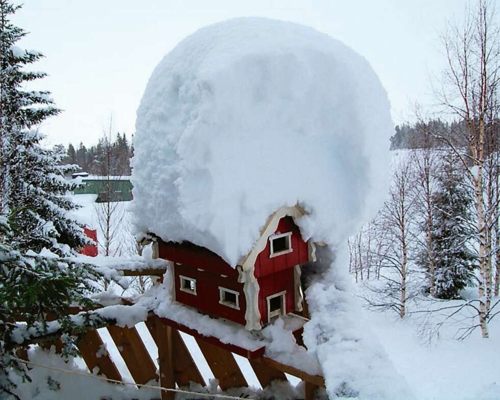 SNART FORSIKRINGSSAK: Fuglehuset er dekket av snø det knapt kan bære. Fra Majavatn. SNART FORSIKRINGSSAK: Fuglehuset er dekket av snø det knapt kan bære. Fra Majavatn.