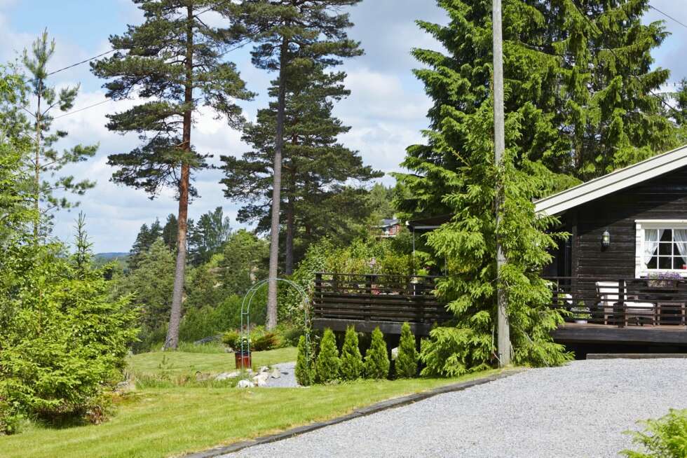 Gjesteplass: Her var det tett skog da Leif og Wenche overtok. Noe av det første de gjorde var å etablere en innkjøring og parkeringsplass for flere biler i sørenden av hytta. Gjesteplass: Her var det tett skog da Leif og Wenche overtok. Noe av det første de gjorde var å etablere en innkjøring og parkeringsplass for flere biler i sørenden av hytta.