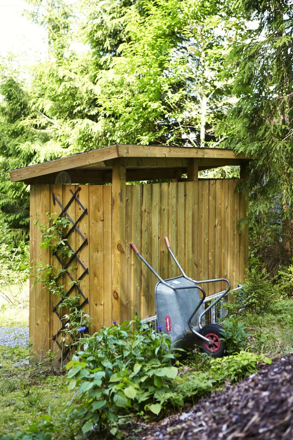 Praktisk: En vedbod med en klatreplante er hyggelig, og ikke minst
svært nyttig. Klatreplanten som her har blitt valgt er en flammentanz,
som er kjent for å være hardfør. Praktisk: En vedbod med en klatreplante er hyggelig, og ikke minst
svært nyttig. Klatreplanten som her har blitt valgt er en flammentanz,
som er kjent for å være hardfør.