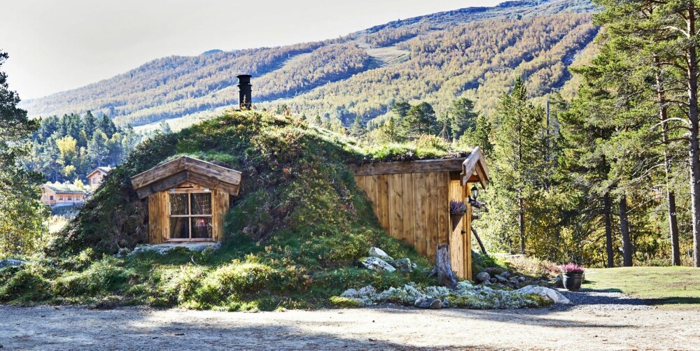 ORIGINAL HYTTE: Hytta ser nærmest ut som den har vokst opp fra jorden, og som i den tradisjonelle jordgamma, er treverket dekket med jord, hvor det vokser naturlige vekster fra skogen. Taket er naturlig skogbunn som ble lagt på med gravemaskin. I løpet av et par somre skal dette gro sammen til fast torvtak. FOTO: Sveinung Bråthen ORIGINAL HYTTE: Hytta ser nærmest ut som den har vokst opp fra jorden, og som i den tradisjonelle jordgamma, er treverket dekket med jord, hvor det vokser naturlige vekster fra skogen. Taket er naturlig skogbunn som ble lagt på med gravemaskin. I løpet av et par somre skal dette gro sammen til fast torvtak. FOTO: Sveinung Bråthen