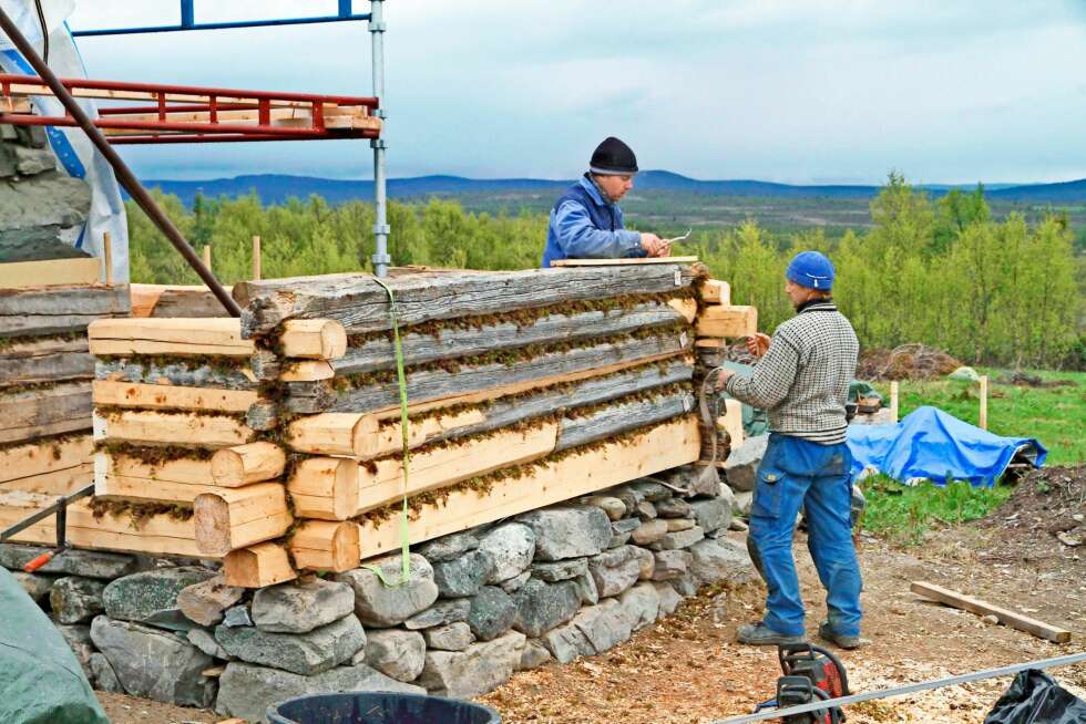 BYGGESKIKK: Da Else Rønnevig skulle restaurere Bjørkheimstølen i Valdres, fikk hun fagfolk til å isolere de laftede veggene med mose. De holdt samtidig kurs, så andre fikk innblikk i denne gamle isoleringsteknikken. BYGGESKIKK: Da Else Rønnevig skulle restaurere Bjørkheimstølen i Valdres, fikk hun fagfolk til å isolere de laftede veggene med mose. De holdt samtidig kurs, så andre fikk innblikk i denne gamle isoleringsteknikken.