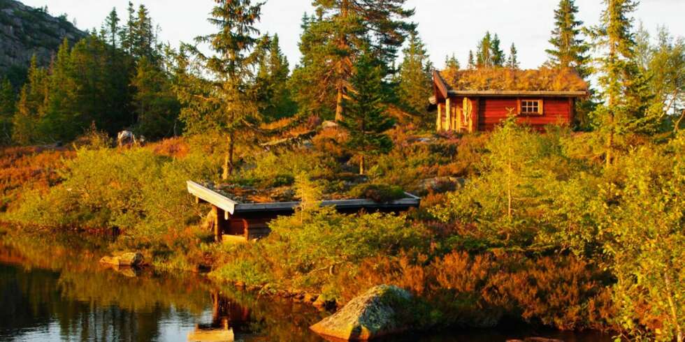 VINNERHYTTA: Hytta i Fyresdal ligger i Telemark vakkert til ved et tjern, med multemyr utenfor hytteveggen. VINNERHYTTA: Hytta i Fyresdal ligger i Telemark vakkert til ved et tjern, med multemyr utenfor hytteveggen.