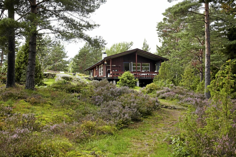 I SKOGKANTEN: Tove Seberg har latt seg inspirere av skogens farger, noe om passer godt siden hytta ligger omsluttet av skogen. I SKOGKANTEN: Tove Seberg har latt seg inspirere av skogens farger, noe om passer godt siden hytta ligger omsluttet av skogen.