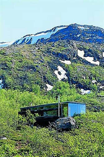 TOPP PLASSERT: Hytta ligger i børkeskogbeltet, midt mellom fjord og fjell. TOPP PLASSERT: Hytta ligger i børkeskogbeltet, midt mellom fjord og fjell.