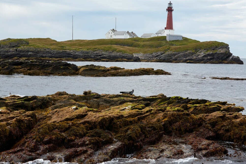 OPP AV HAVET: Per Fugelli liker å sammenligne Røst med Atlantis, og får støtte av det
gamle sagnet om Utrøst. Det handler også om et eventyrland som steg opp av havet. Dette er utposten Skomvær fyr. OPP AV HAVET: Per Fugelli liker å sammenligne Røst med Atlantis, og får støtte av det
gamle sagnet om Utrøst. Det handler også om et eventyrland som steg opp av havet. Dette er utposten Skomvær fyr.