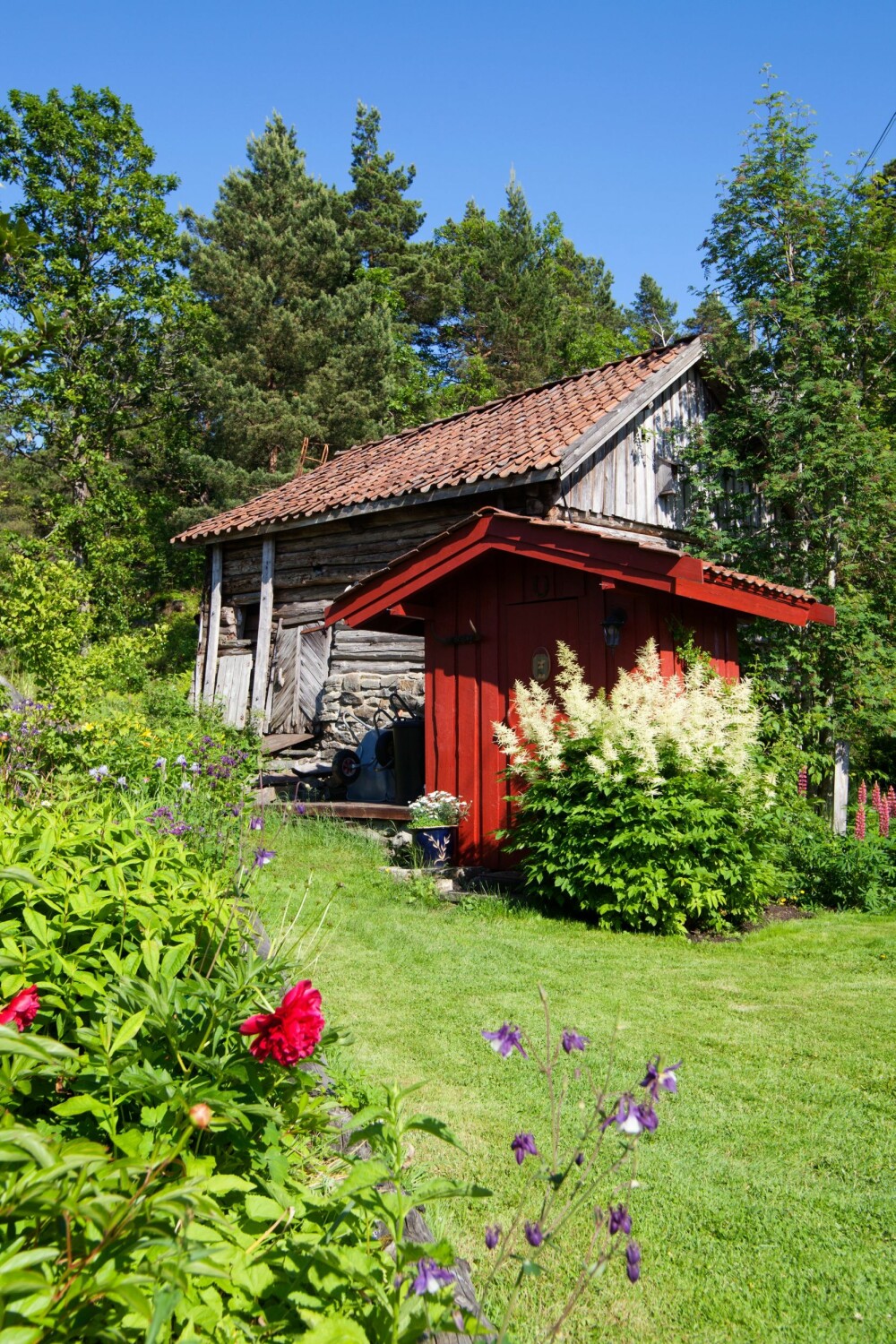GRÅ PATINA: Opprinnelig var alle hus i grå patina, slik som låven ser ut i dag. Nå er utedoen malt rød, mens bryggerhus og hovedhus er malt Staverngule. GRÅ PATINA: Opprinnelig var alle hus i grå patina, slik som låven ser ut i dag. Nå er utedoen malt rød, mens bryggerhus og hovedhus er malt Staverngule.