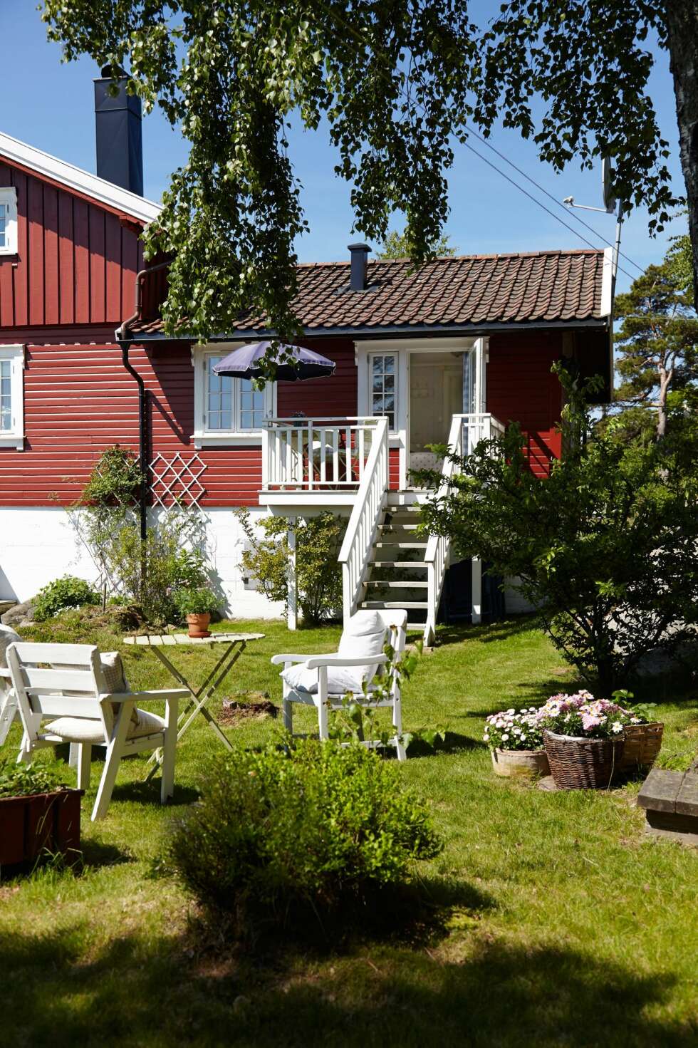 EN USJENERT HAGE:: Tenk at denne frodige herligheten er et svaberg! Turid innrømmer det gjerne, hun er i overkant opptatt av hage.
EN USJENERT HAGE:: Tenk at denne frodige herligheten er et svaberg! Turid innrømmer det gjerne, hun er i overkant opptatt av hage.