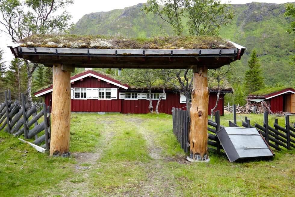 HENTET FREM: Hytta var så gjengrodd at hyttefolket i nærheten nesten hadde glemt av den. Porten er laget av tykke furustokker fra indre Troms, som er pusset frem og lakket. HENTET FREM: Hytta var så gjengrodd at hyttefolket i nærheten nesten hadde glemt av den. Porten er laget av tykke furustokker fra indre Troms, som er pusset frem og lakket.