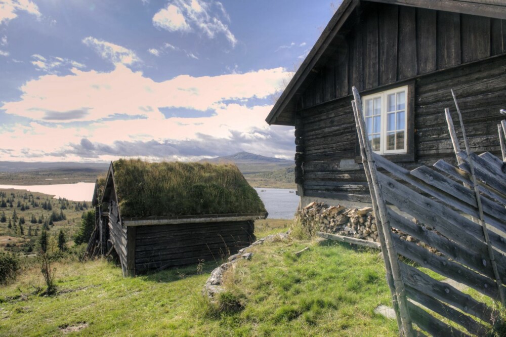VAKKER UTSIKT: Ordene seter og støl tilhører forskjellige distrikter i Norge. Støl brukes i betydningen å reise på stølen, som da er både jordet, fjøset og hovedhuset, som blir kalt selet. Hovedrommet blir også kalt sel. Selet er altså både hovedrommet og selve bygningen.
I tillegg er det to rom; kleven, som ofte ble benyttet som soverom, og melkebua, der man silte melken og bearbeidet den. VAKKER UTSIKT: Ordene seter og støl tilhører forskjellige distrikter i Norge. Støl brukes i betydningen å reise på stølen, som da er både jordet, fjøset og hovedhuset, som blir kalt selet. Hovedrommet blir også kalt sel. Selet er altså både hovedrommet og selve bygningen.
I tillegg er det to rom; kleven, som ofte ble benyttet som soverom, og melkebua, der man silte melken og bearbeidet den.