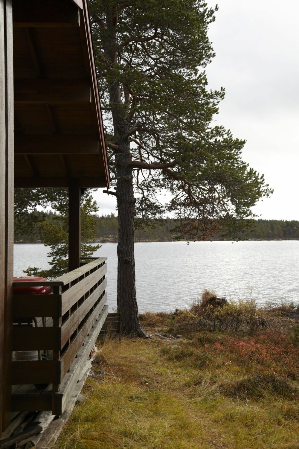VAKKERT VANN: Vannet har vært en viktig faktor når det kom til innredningen. Hytteeieren er opptatt av å utnytte utsikten og hun finner mye glede i å se utover det fine vannet. VAKKERT VANN: Vannet har vært en viktig faktor når det kom til innredningen. Hytteeieren er opptatt av å utnytte utsikten og hun finner mye glede i å se utover det fine vannet.
