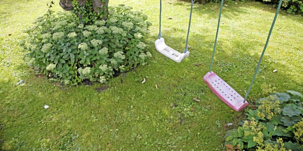 PEN PLEN: Her er tipsene som redder plenen. PEN PLEN: Her er tipsene som redder plenen.