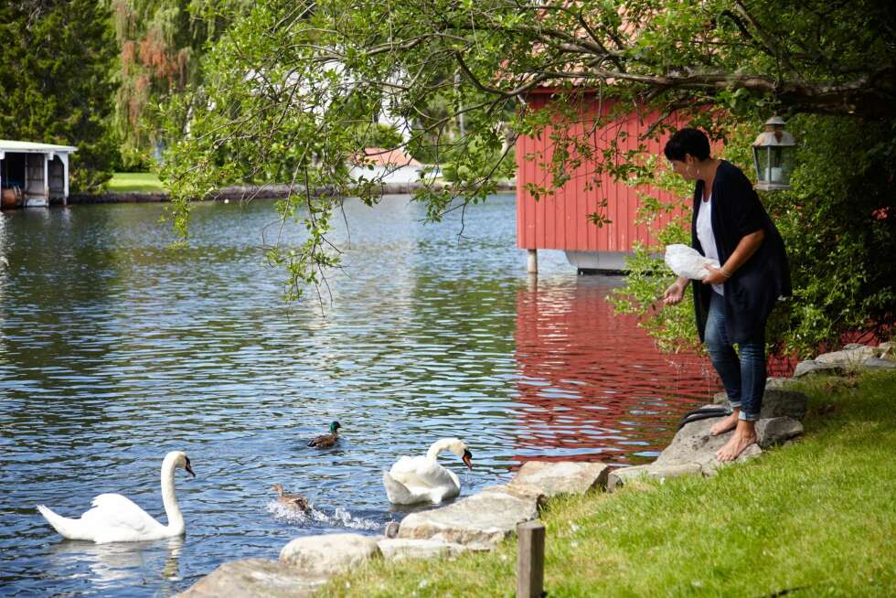 STEINMURER: Deler av Fiskeskjærs «kyst» er laget av flotte steinmurer i sjøen, noe som er typisk for ballaststeder. De ble lagt opp for å holde massen på plass, her er også små steintrapper hvor småbåter kunne legge til. I dag er det et fint sted å mate fuglene fra. Under byens rike sildefiske på 1800-tallet ble stedet antagelig brukt til oppbevaring av sild. Det var sildebuer overalt på den tiden.
STEINMURER: Deler av Fiskeskjærs «kyst» er laget av flotte steinmurer i sjøen, noe som er typisk for ballaststeder. De ble lagt opp for å holde massen på plass, her er også små steintrapper hvor småbåter kunne legge til. I dag er det et fint sted å mate fuglene fra. Under byens rike sildefiske på 1800-tallet ble stedet antagelig brukt til oppbevaring av sild. Det var sildebuer overalt på den tiden.