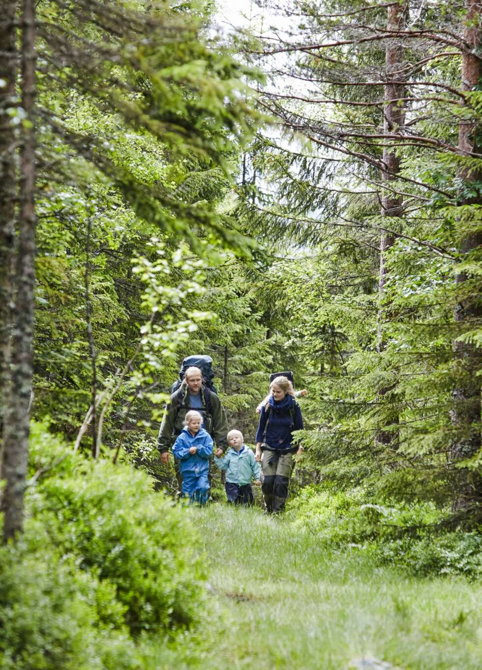 SOLID GÅTUR: Det tar ca. én time å gå til hytta for små barneføtter, men turen går greit. Det er så mye spennende å se på i skogen. (FOTO: Sveinung Bråthen) SOLID GÅTUR: Det tar ca. én time å gå til hytta for små barneføtter, men turen går greit. Det er så mye spennende å se på i skogen. (FOTO: Sveinung Bråthen)