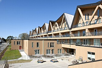 MASSIV: Egenes Park er den største massivtreblokken I Europa. MASSIV: Egenes Park er den største massivtreblokken I Europa.