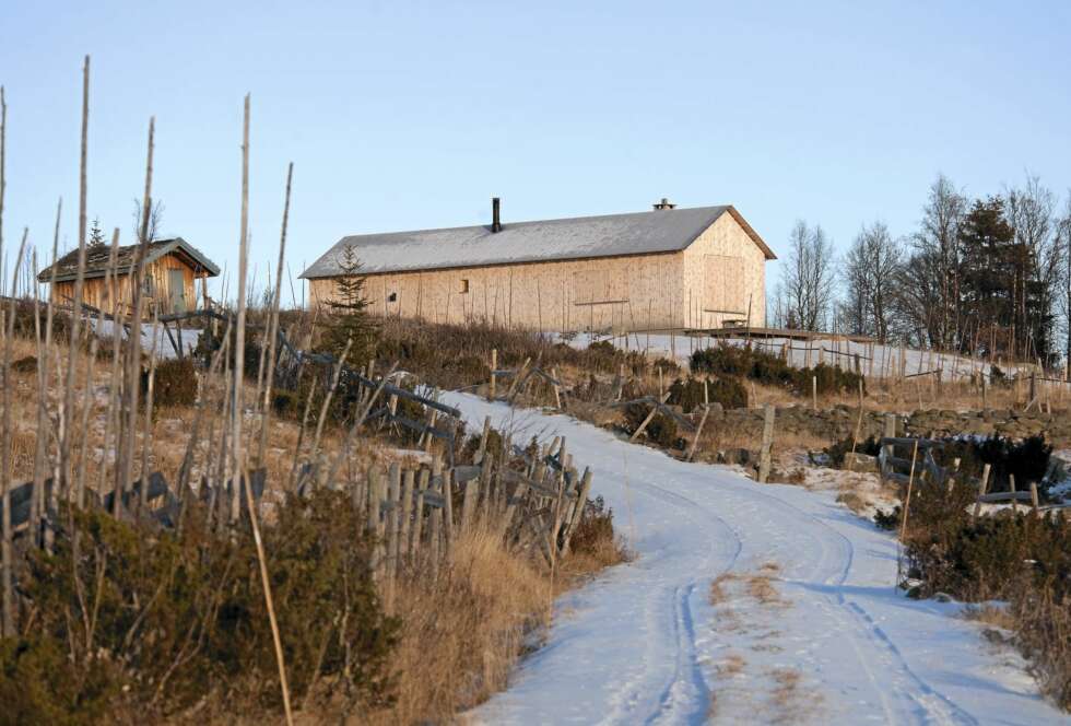 RENSKRAPET: Når hytta er lukket er det bare en bitte liten glugge ved døren som røper at dette er noe mer enn en vanlig seterbu.... Ekstra smale malmfurubord dekker både vegger og tak. RENSKRAPET: Når hytta er lukket er det bare en bitte liten glugge ved døren som røper at dette er noe mer enn en vanlig seterbu.... Ekstra smale malmfurubord dekker både vegger og tak.
