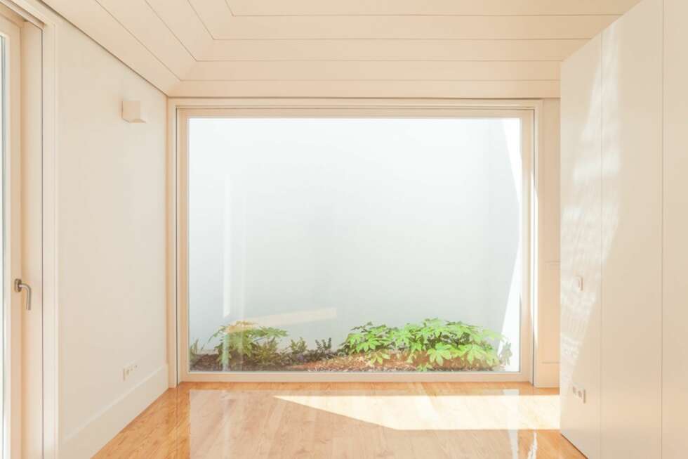 SLIPP LYSET INN: Man har plantet grønne planter helt inntil byggenes, slik at eierne har noe grønt å se på mellom byggene. SLIPP LYSET INN: Man har plantet grønne planter helt inntil byggenes, slik at eierne har noe grønt å se på mellom byggene.