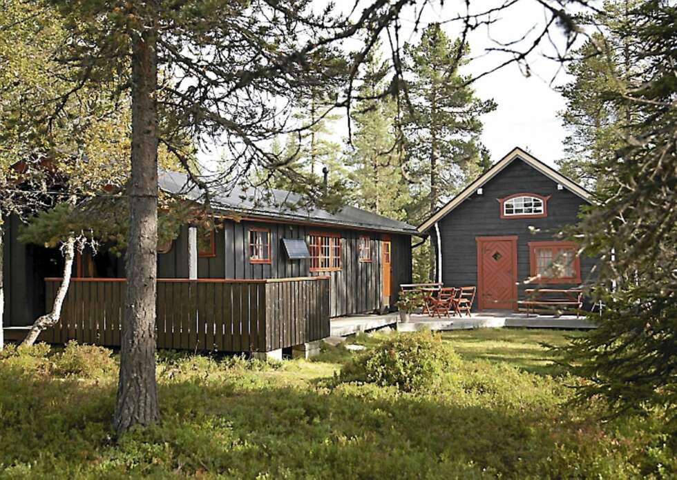 BESKJEDEN: Hytta ligger inne i et typisk Østerdalsterreng, med endeløse skoger, myrer og lyngmoer. En ganske vanlig hytte på 56 kvadratmeter, som med tiden har utviklet seg til å bli innholdsrik, personlig og sjarmerende. BESKJEDEN: Hytta ligger inne i et typisk Østerdalsterreng, med endeløse skoger, myrer og lyngmoer. En ganske vanlig hytte på 56 kvadratmeter, som med tiden har utviklet seg til å bli innholdsrik, personlig og sjarmerende.