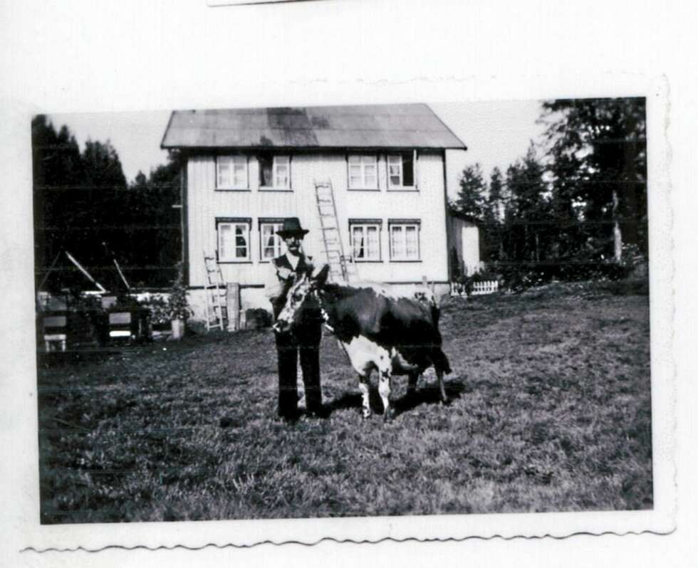 BYTTEHANDEL: Det som i dag er hytte, var en gang i tiden andre etasje på et bolighus fra 1890. Dette er har blitt flyttet to ganger, sist til en gård på Åmli i 1995. Han som Arne og Hilde kjøpte hytta av bodde på gården ved siden av. Bygningen skulle egentlig rives og brukes til fyring, men da byttet han den like gjerne til seg mot en tilsvarende mengde ved i bjørkestammer. BYTTEHANDEL: Det som i dag er hytte, var en gang i tiden andre etasje på et bolighus fra 1890. Dette er har blitt flyttet to ganger, sist til en gård på Åmli i 1995. Han som Arne og Hilde kjøpte hytta av bodde på gården ved siden av. Bygningen skulle egentlig rives og brukes til fyring, men da byttet han den like gjerne til seg mot en tilsvarende mengde ved i bjørkestammer.