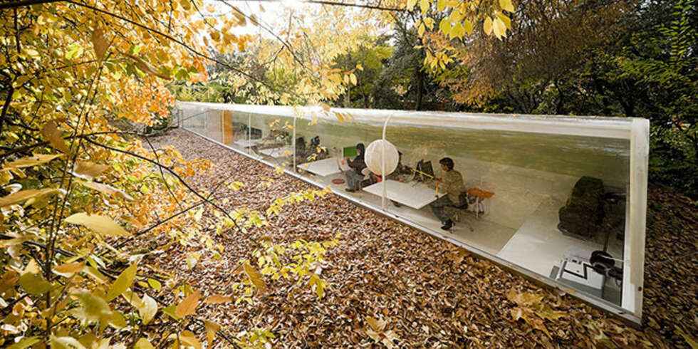 ARBEIDSDAG: Disse arkitektene nyter naturen fra kontorvinduet. ARBEIDSDAG: Disse arkitektene nyter naturen fra kontorvinduet.